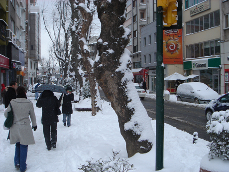 dsc09822.JPG