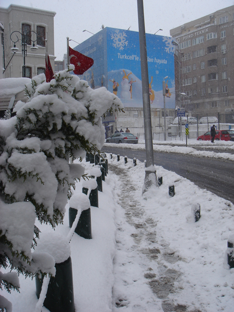 dsc09827.JPG