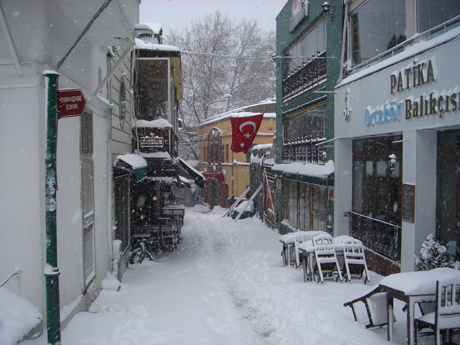 dsc09831.JPG